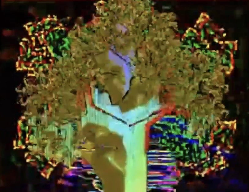 #ScrivereCorto .. “Quando la Parola diventa Short Movie” 👉 L’Albero .. A cura di Furio Morucci